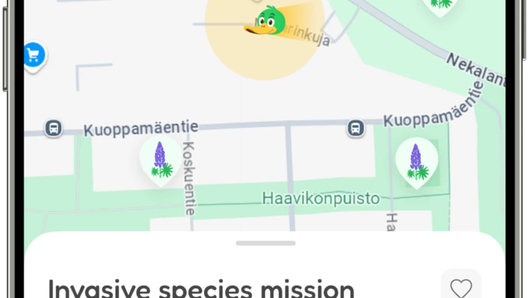 Kartbild över lupinområden som ska bekämpas.