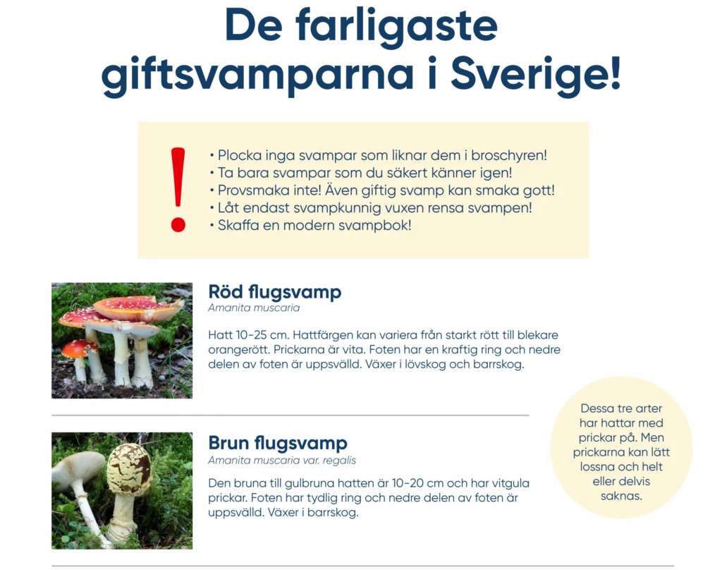 framsidan på broschyren om giftiga svampar