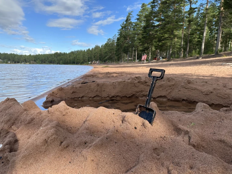Spade vid stranden av Dammsjön.