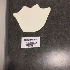 dinosauriespår