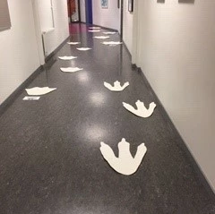dinosauriespår