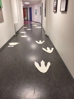 dinosauriespår