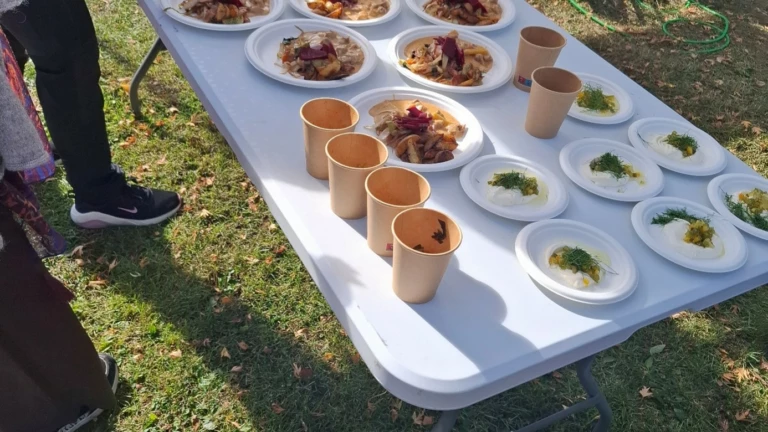 fläskkött gryta med rotfrukter och krämig sås
