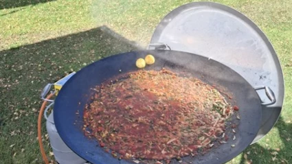 Tomatsoppa i murrikka