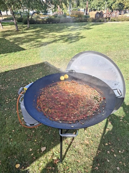 Tomatsoppa i murrikka