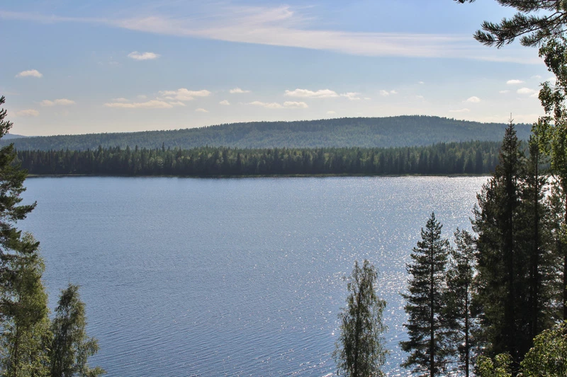 en skogssjö