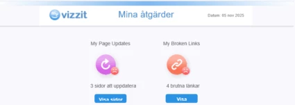 Illustration över Vizzits e-postmeddelande